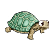 Kita-Plapperschildkröte